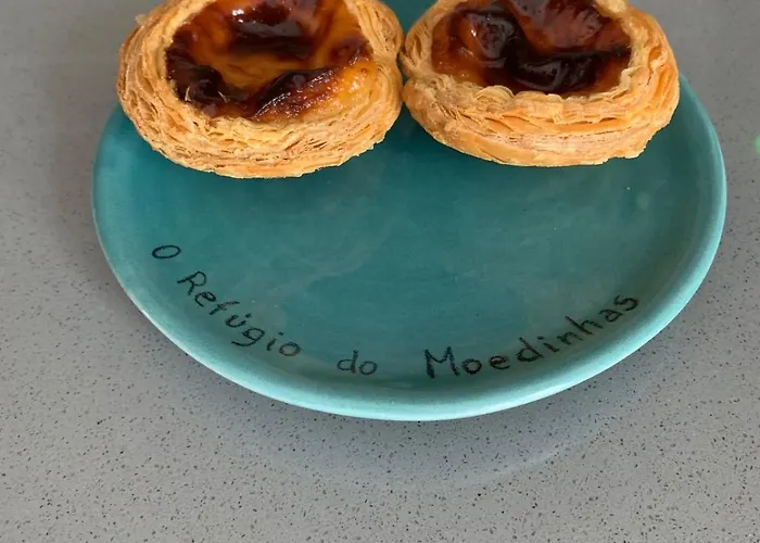 O Refúgio Do Moedinhas